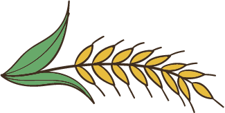 گیلان نشا